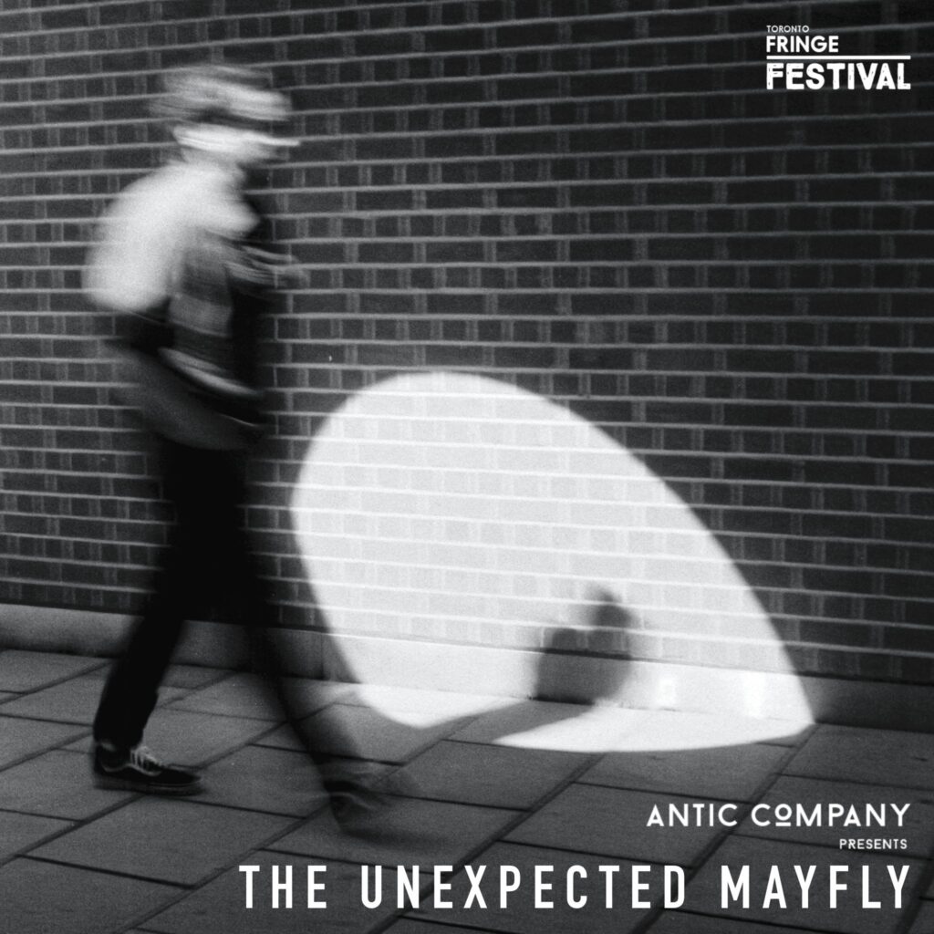 The Unexpected Mayfly