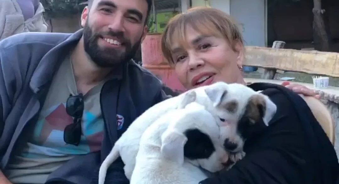 f.sezenaksu 1678220077 3053453782175313725 2092930817