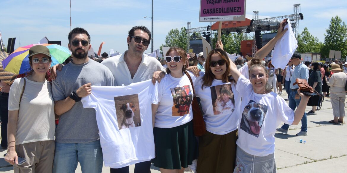 oyuncular sokak hayvanlari eylemi