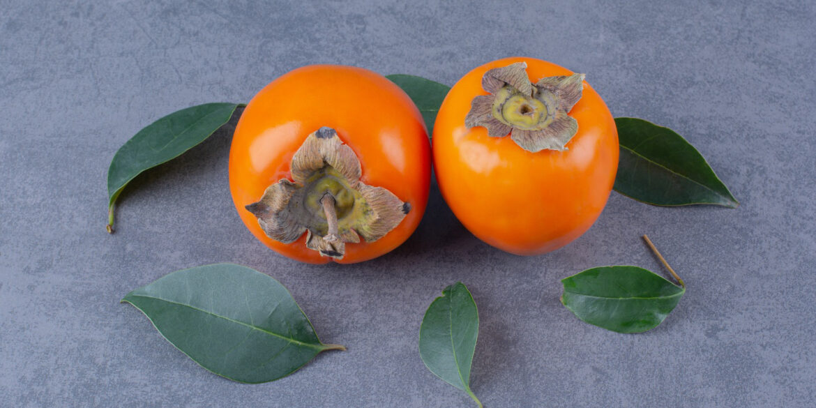 Şimdi Tam Zamanı: Cennet Hurması Kandaki Mikropları Temizliyor 23 kapak 2