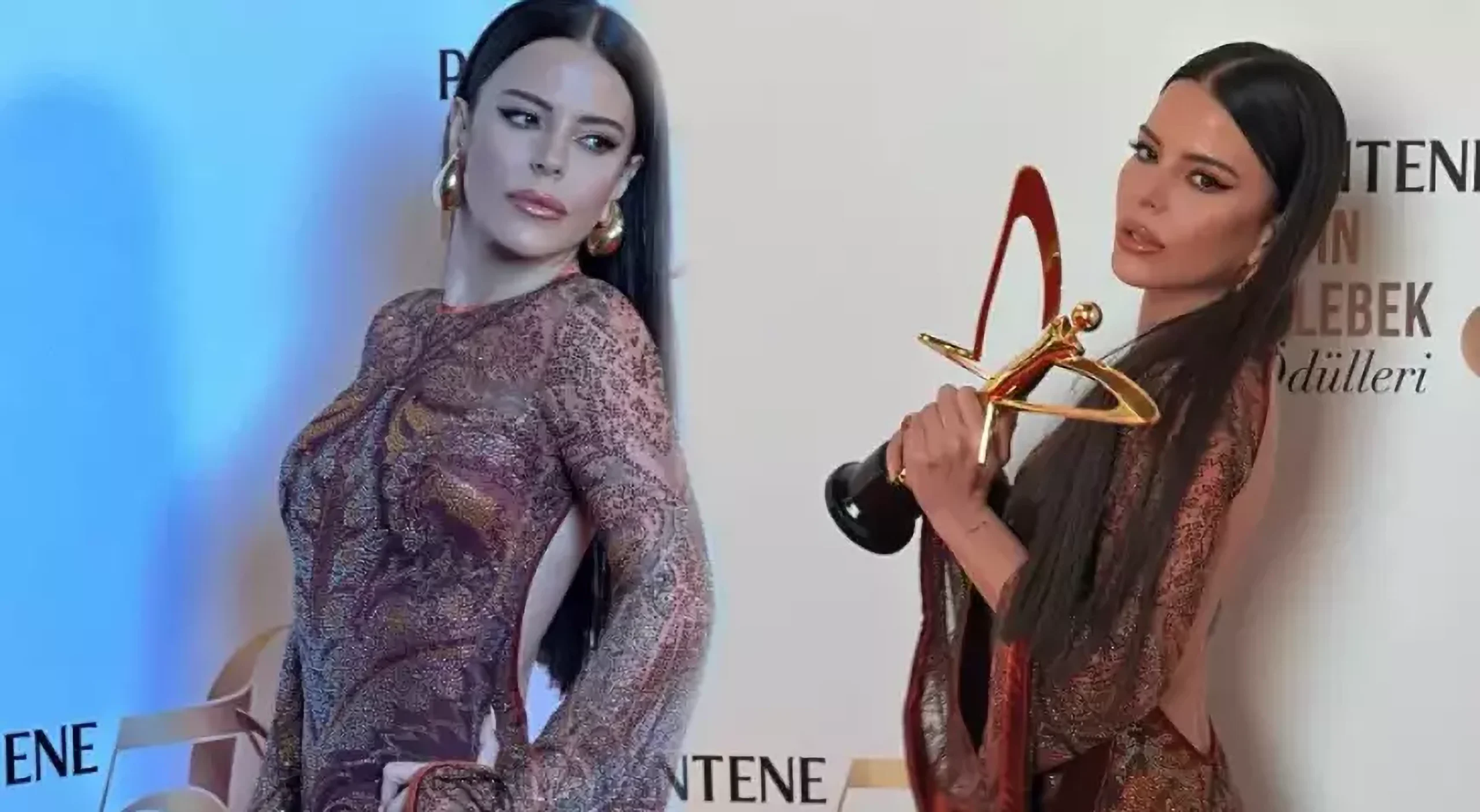 6757c1cd784fa370e2d26e35