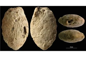 15-Bin-Yillik-Taki-Gelenegi-Cocuklar-da-Uretime-Katilmis-featured