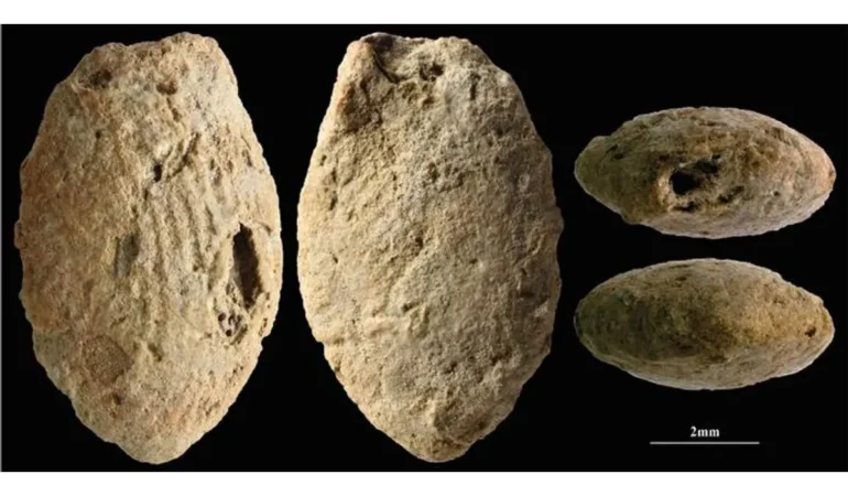 15-Bin-Yillik-Taki-Gelenegi-Cocuklar-da-Uretime-Katilmis-featured