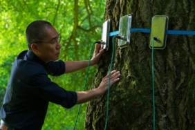 45.-Istanbul-Film-Festivali8217nden-Sinema-ve-Doga-Notlari-featured