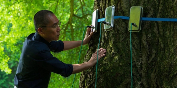 45.-Istanbul-Film-Festivali8217nden-Sinema-ve-Doga-Notlari-featured