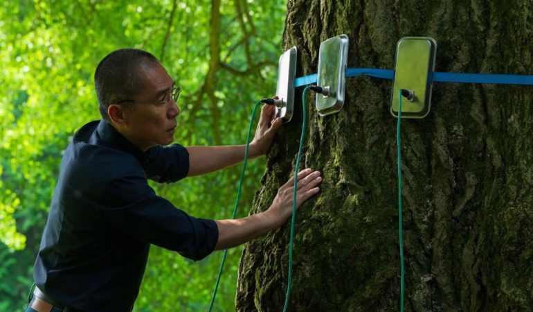 45.-Istanbul-Film-Festivali8217nden-Sinema-ve-Doga-Notlari-featured