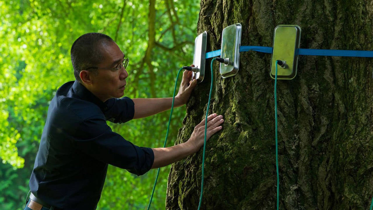 45.-Istanbul-Film-Festivali8217nden-Sinema-ve-Doga-Notlari-featured