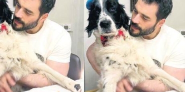 Oyuncudan-kopegi-Archieye-ozel-dogum-gunu-kutlamasi-featured