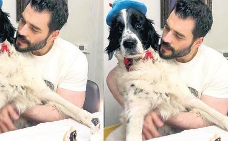 Oyuncudan-kopegi-Archieye-ozel-dogum-gunu-kutlamasi-featured