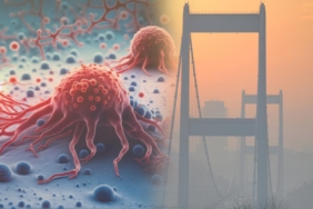 Alzheimer Bakımında Yapay Zeka: Hayatı Sürdürülebilir Kılan Güç 1 thumbnail