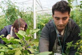 Psikiyatri-Tedavisinde-Yeni-Donem-Hastalar-Calisarak-Kazaniyor-featured