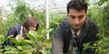 Psikiyatri-Tedavisinde-Yeni-Donem-Hastalar-Calisarak-Kazaniyor-featured