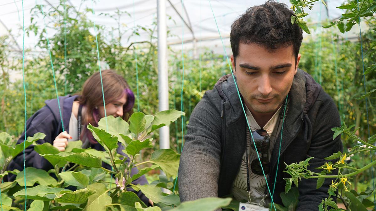 Psikiyatri-Tedavisinde-Yeni-Donem-Hastalar-Calisarak-Kazaniyor-featured