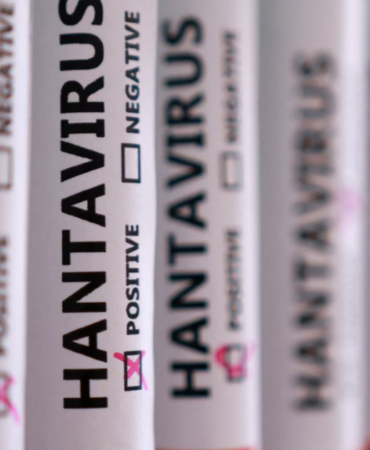 Hantavirus-Tehdidi-Hangi-Meslek-Gruplari-Daha-Fazla-Risk-Altinda-featured
