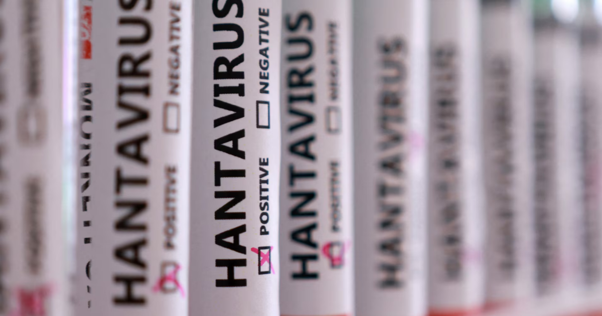 Hantavirus-Tehdidi-Hangi-Meslek-Gruplari-Daha-Fazla-Risk-Altinda-featured