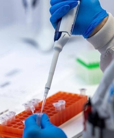 Ispanya-Hantavirus-Gorulen-Geminin-Limana-Yanasmasina-Izin-Verdi-featured