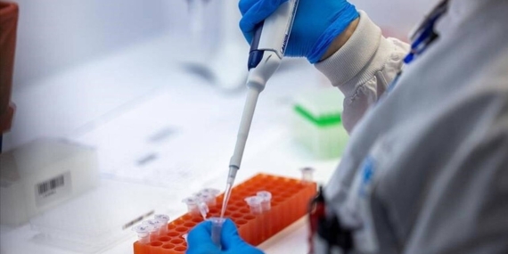 İspanya, Hantavirüs Görülen Geminin Limana Yanaşmasına İzin Verdi