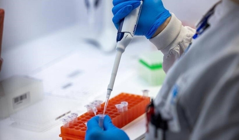 Ispanya-Hantavirus-Gorulen-Geminin-Limana-Yanasmasina-Izin-Verdi-featured