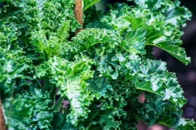 Mucize-Besin-Kale-Gecmisin-Yoksul-Asi-Bugunun-Super-Gidasi-featured