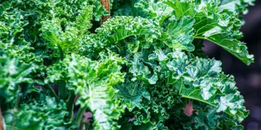 Mucize-Besin-Kale-Gecmisin-Yoksul-Asi-Bugunun-Super-Gidasi-featured