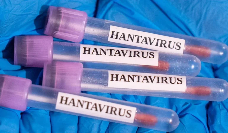 Saglik-Bakanligi8217ndan-Hantavirus-Aciklamasi-Turkiye8217de-Durum-Ne-featured