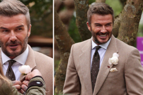 Sir-David-Beckham-Yesil-Sahalardan-Beyaz-Gul-Bahcelerine-featured