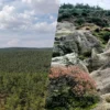 Manisa-ve-Gaziantep8217te-Iki-Yeni-Bolge-Tabiat-Parki-Ilan-Edildi-featured