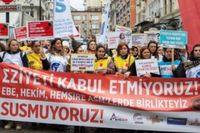 Yunanistan'da Batı Nil Virüsü Alarmı: Vaka Sayısı 110'a Çıktı 1 thumbnail