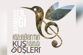 Bozcaada’da 26. Bağbozumu Coşkusu 14 Ağustos’ta Başlıyor 1 thumbnail