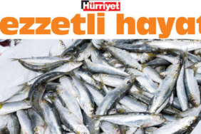 Balik-Sezonu-Acildi-En-Taze-ve-Kaliteli-Baligi-Secme-Rehberi-featured
