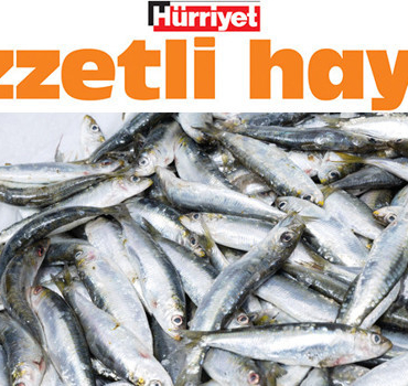 Balik-Sezonu-Acildi-En-Taze-ve-Kaliteli-Baligi-Secme-Rehberi-featured