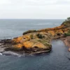 Karadeniz8217deki-Timsah-Adasi-Dogal-Gorunumuyle-Herkesi-Buyuluyor-featured