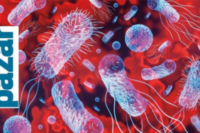 Sepsis-Rehberi-Her-3-Saniyede-Bir-Can-Kaybina-Yol-Aciyor-featured