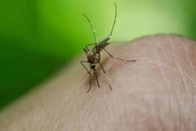 Giresun'da 700 Kişiyi Etkileyen Gastroenterit Hakkında Tüm Detaylar 3 thumbnail