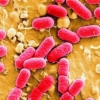 Parkinson-Tedavisinde-Yeni-Ufuklar-Semptomlardan-Biyolojik-Cozume-featured